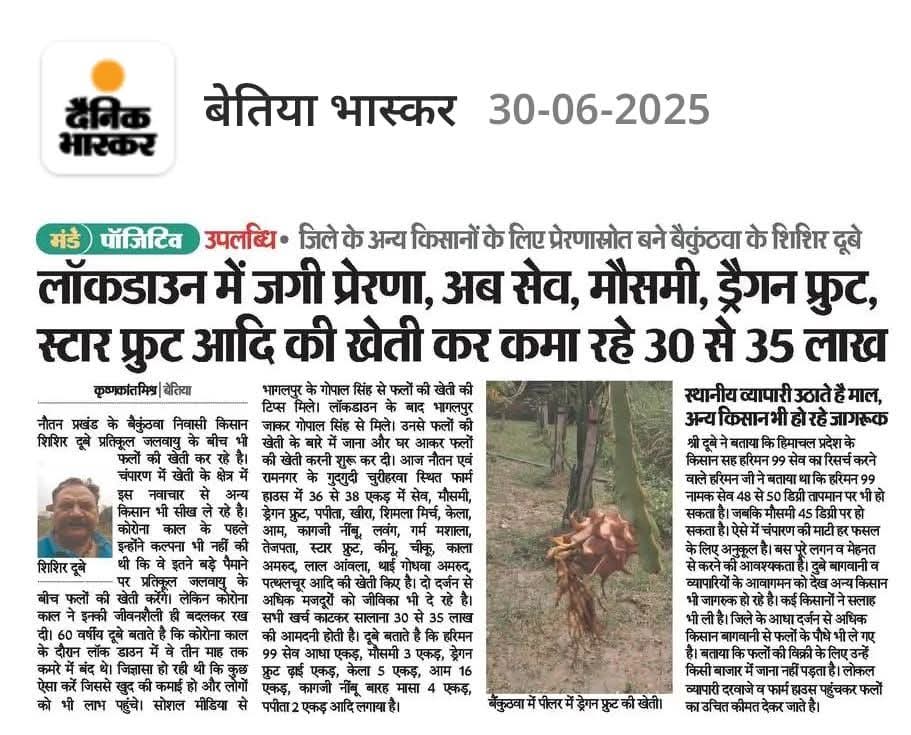 Lockdown gave inspiration — now earning ₹30-35 lakh from Apple, Mosambi, Dragon Fruit, Star Fruit